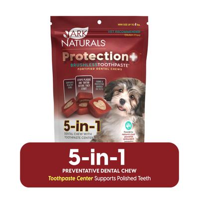 Show full view: Ark Naturals Brushless Toothpaste Protection+ Mini Dental Dog Treats, 4-oz bag, count varies slide 1 of 12