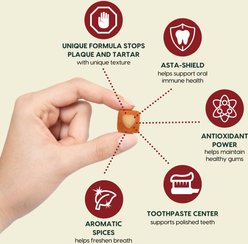 Ark Naturals Brushless Toothpaste Protection+ Mini Dental Dog Treats, 4-oz bag, count varies slide 2 of 8