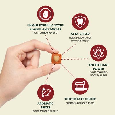 Show full view: Ark Naturals Brushless Toothpaste Protection+ Mini Dental Dog Treats, 4-oz bag, count varies slide 3 of 12