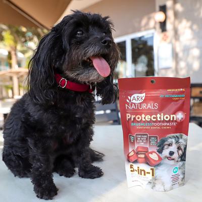Show full view: Ark Naturals Brushless Toothpaste Protection+ Mini Dental Dog Treats, 4-oz bag, count varies slide 6 of 12