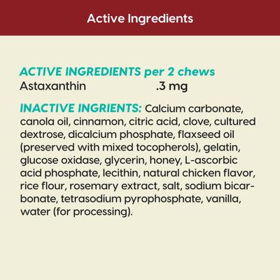 Show full view: Ark Naturals Brushless Toothpaste Protection+ Mini Dental Dog Treats, 4-oz bag, count varies slide 7 of 12