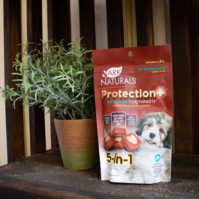 Show full view: Ark Naturals Brushless Toothpaste Protection+ Mini Dental Dog Treats, 4-oz bag, count varies slide 9 of 12