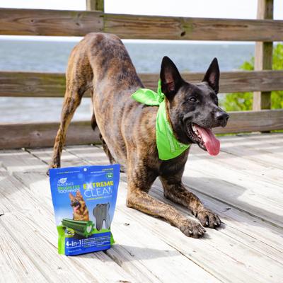 Show full view: Ark Naturals Extreme Clean Brushless Dog Toothpaste, Large, 18-oz bag slide 6 of 11