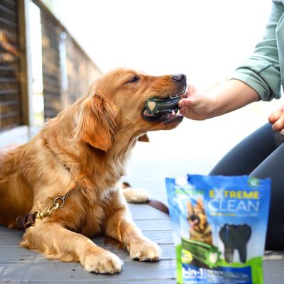 Show full view: Ark Naturals Extreme Clean Brushless Dog Toothpaste, Large, 18-oz bag slide 9 of 11