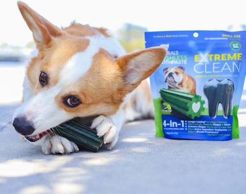 Show full view: Ark Naturals Extreme Clean Brushless Dog Toothpaste, Small, 12-oz bag slide 9 of 11