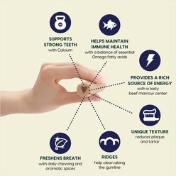 Ark Naturals Fortify Brushless Toothpaste Large Dental Dog Treats, 18-oz bag slide 2 of 8