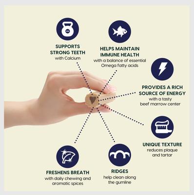 Show full view: Ark Naturals Fortify Brushless Toothpaste Large Dental Dog Treats, 18-oz bag slide 3 of 9