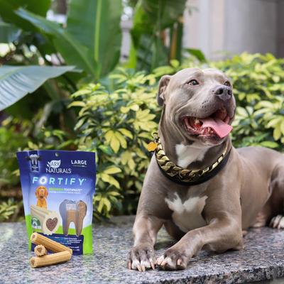 Show full view: Ark Naturals Fortify Brushless Toothpaste Large Dental Dog Treats, 18-oz bag slide 6 of 9