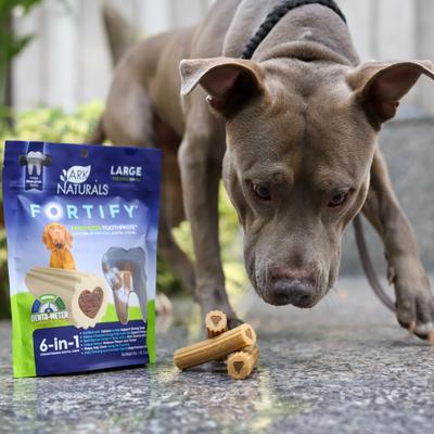 Show full view: Ark Naturals Fortify Brushless Toothpaste Large Dental Dog Treats, 18-oz bag slide 9 of 9