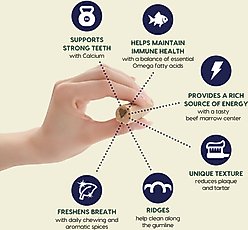 Ark Naturals Fortify Brushless Toothpaste Small Dental Dog Treats, 12-oz bag slide 2 of 8