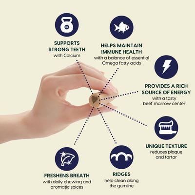 Show full view: Ark Naturals Fortify Brushless Toothpaste Small Dental Dog Treats, 12-oz bag slide 3 of 9