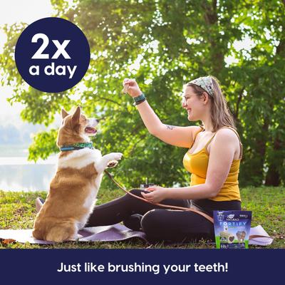 Show full view: Ark Naturals Fortify Brushless Toothpaste Small Dental Dog Treats, 12-oz bag slide 8 of 9