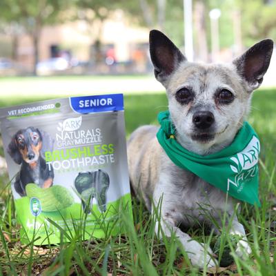 Show full view: Ark Naturals Gray Muzzle Brushless Toothpaste Small/Medium Senior Dental Dog Treats, 4-oz bag, count varies slide 4 of 10