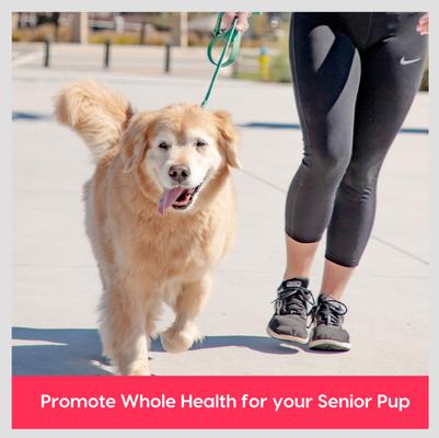 Show full view: Ark Naturals Gray Muzzle Heart Health Senior Dog Chews, 4-oz bag, 60 count slide 5 of 11