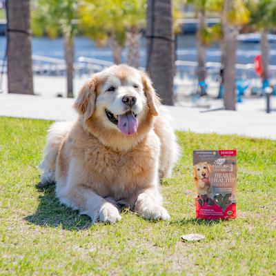 Show full view: Ark Naturals Gray Muzzle Heart Health Senior Dog Chews, 4-oz bag, 60 count slide 6 of 11