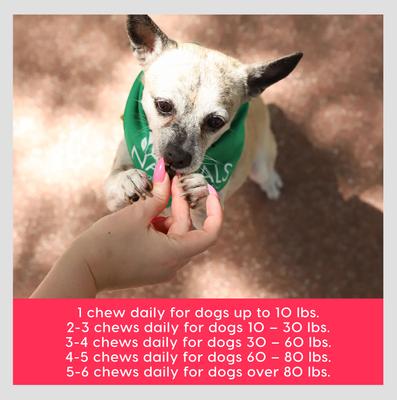 Show full view: Ark Naturals Gray Muzzle Heart Health Senior Dog Chews, 4-oz bag, 60 count slide 8 of 11