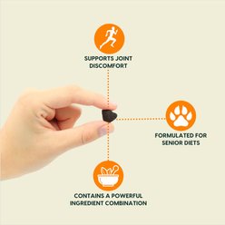 Ark Naturals Gray Muzzle Old Bones Happy Joint Soft Chew Joint Supplement for Senior Dogs, 90 count slide 2 of 9