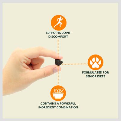 Show full view: Ark Naturals Gray Muzzle Old Bones Happy Joint Soft Chew Joint Supplement for Senior Dogs, 90 count slide 3 of 13