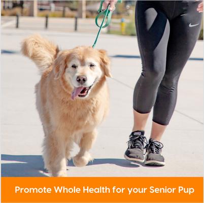 Show full view: Ark Naturals Gray Muzzle Old Bones Happy Joint Soft Chew Joint Supplement for Senior Dogs, 90 count slide 5 of 13