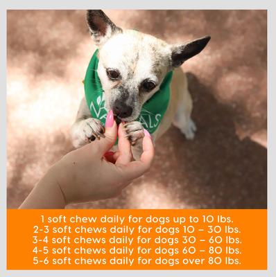 Show full view: Ark Naturals Gray Muzzle Old Bones Happy Joint Soft Chew Joint Supplement for Senior Dogs, 90 count slide 8 of 13