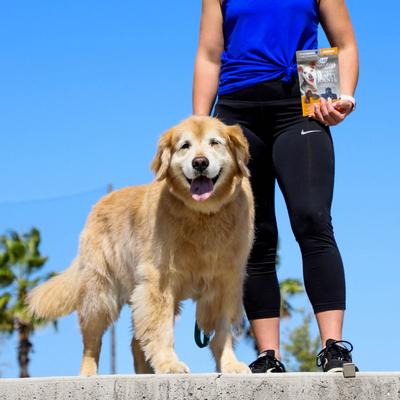 Show full view: Ark Naturals Gray Muzzle Old Bones Happy Joint Soft Chew Joint Supplement for Senior Dogs, 90 count slide 9 of 13