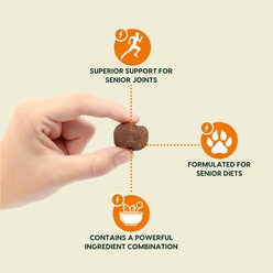 Ark Naturals Gray Muzzle Old Bones Happy Joints Maximum Strength Soft Chew Joint Supplement for Senior Dogs, 16-oz bag slide 2 of 8