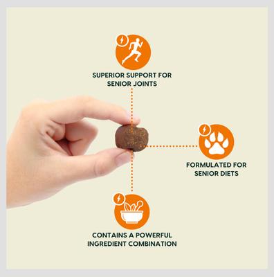 Show full view: Ark Naturals Gray Muzzle Old Bones Happy Joints Maximum Strength Soft Chew Joint Supplement for Senior Dogs, 16-oz bag slide 3 of 12