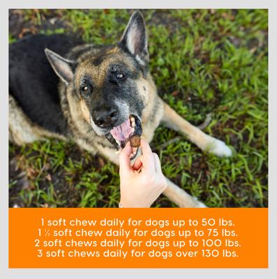 Show full view: Ark Naturals Gray Muzzle Old Bones Happy Joints Maximum Strength Soft Chew Joint Supplement for Senior Dogs, 16-oz bag slide 8 of 12