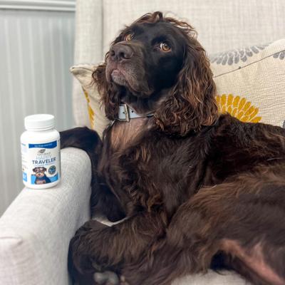 Show full view: Ark Naturals Happy Traveler Capsule Calming Supplement for Dogs & Cats, 30 capsules slide 6 of 11