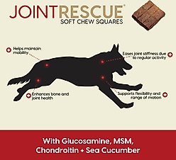Ark Naturals Joint Rescue Beef Flavored Soft Chew Joint Supplement for Dogs, 9-oz bag slide 2 of 7