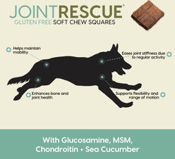 Ark Naturals Joint Rescue Lamb Flavored Soft Chew Joint Supplement for Dogs, 9-oz bag slide 2 of 7