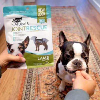 Show full view: Ark Naturals Joint Rescue Lamb Flavored Soft Chew Joint Supplement for Dogs, 9-oz bag slide 4 of 9