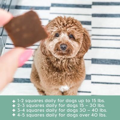 Show full view: Ark Naturals Joint Rescue Lamb Flavored Soft Chew Joint Supplement for Dogs, 9-oz bag slide 5 of 9