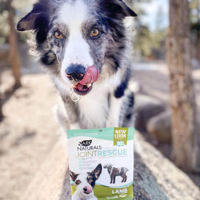 Show full view: Ark Naturals Joint Rescue Lamb Flavored Soft Chew Joint Supplement for Dogs, 9-oz bag slide 8 of 9