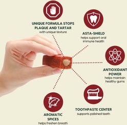 Ark Naturals Protection+ Brushless Toothpaste Medium Dental Dog Treats, 60 count slide 2 of 8