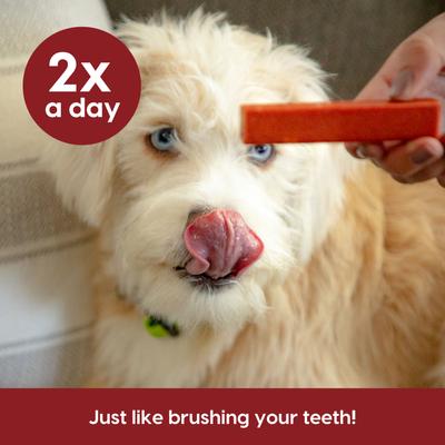 Show full view: Ark Naturals Protection+ Brushless Toothpaste Medium Dental Dog Treats, 60 count slide 8 of 11