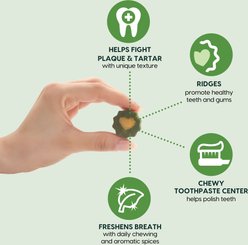 Ark Naturals Soft Brushless Toothpaste Large Dental Dog Treats, 18-oz bag slide 2 of 8