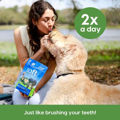 Show full view: Ark Naturals Soft Brushless Toothpaste Large Dental Dog Treats, 18-oz bag slide 8 of 10
