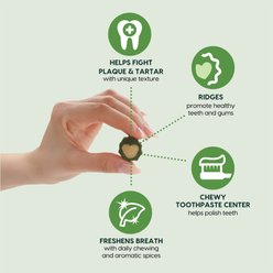 Ark Naturals Soft Brushless Toothpaste Small Dental Dog Treats, 12-oz bag slide 2 of 8