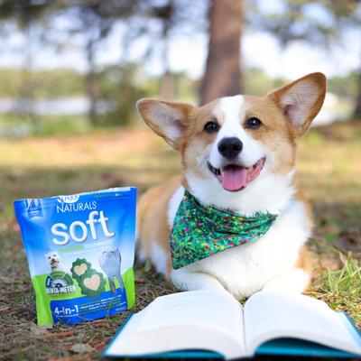 Show full view: Ark Naturals Soft Brushless Toothpaste Small Dental Dog Treats, 12-oz bag slide 9 of 10