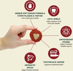 Ark Naturals Soft Shield Protection+ Brushless Toothpaste Large Dental Dog Treats, 18-oz bag slide 2 of 8