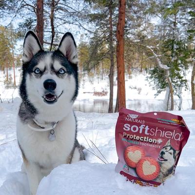 Show full view: Ark Naturals Soft Shield Protection+ Brushless Toothpaste Large Dental Dog Treats, 18-oz bag slide 6 of 10