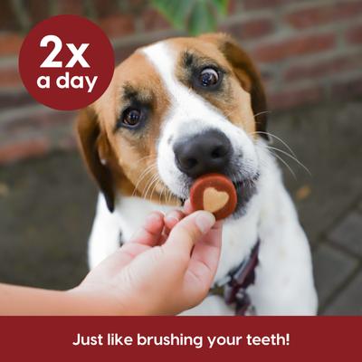 Show full view: Ark Naturals Soft Shield Protection+ Brushless Toothpaste Large Dental Dog Treats, 18-oz bag slide 8 of 10