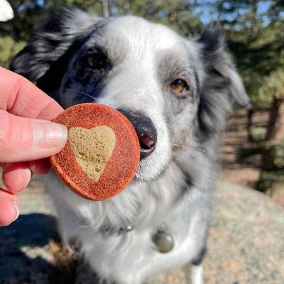 Show full view: Ark Naturals Soft Shield Protection+ Brushless Toothpaste Large Dental Dog Treats, 18-oz bag slide 9 of 10