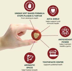 Ark Naturals Soft Shield Protection+ Brushless Toothpaste Small Dental Dog Treats, 12-oz bag slide 2 of 8