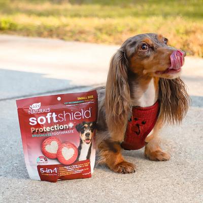 Show full view: Ark Naturals Soft Shield Protection+ Brushless Toothpaste Small Dental Dog Treats, 12-oz bag slide 6 of 11