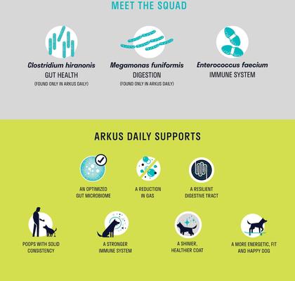 Show full view: Arkus Daily Small/Medium Probiotic Digestive Dog Health Supplement, 0.8-oz jar slide 6 of 8