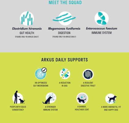 Show full view: Arkus Daily X-Large Probiotic Digestive Dog Health Supplement, 1.6-oz jar slide 5 of 7