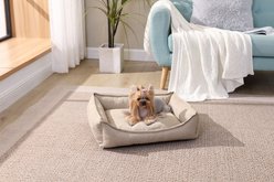 Arlee Home & Pet Cresent Lounger Orthopedic Eco-Friendly Memory Foam Bolster Dog & Cat Bed, Safari, 26 x 21 x 8-in