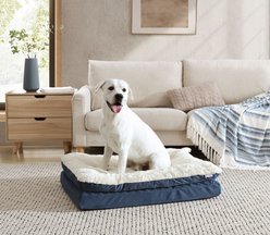 Arlee Home & Pet Orthopedic Pillow Topper Dog Bed, Grey, Medium